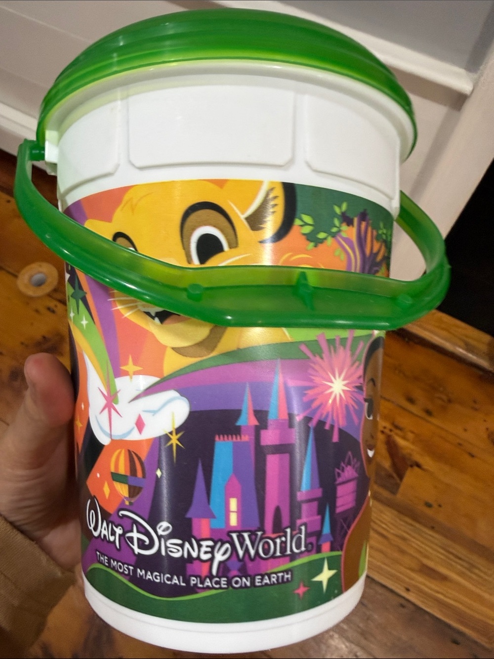 Disney World Park Icons 2024 Popcorn bucket